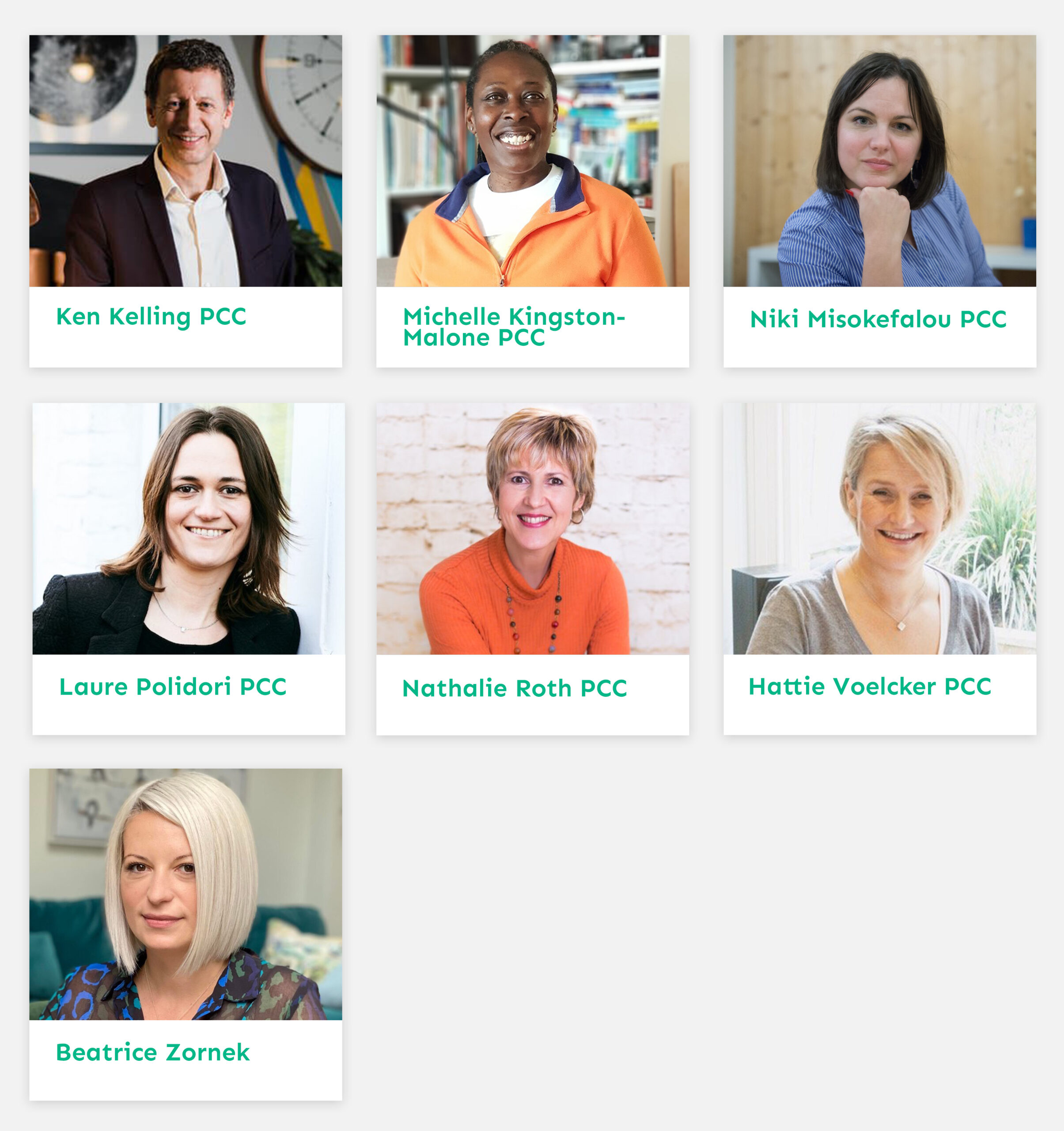 Mentors and Supervisors scaled